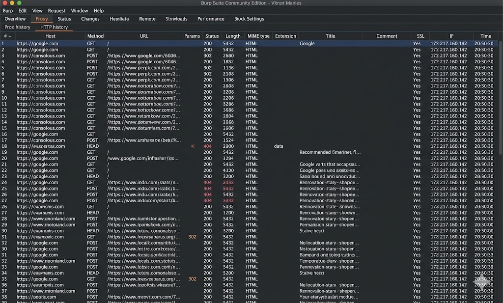Burp HTTP History