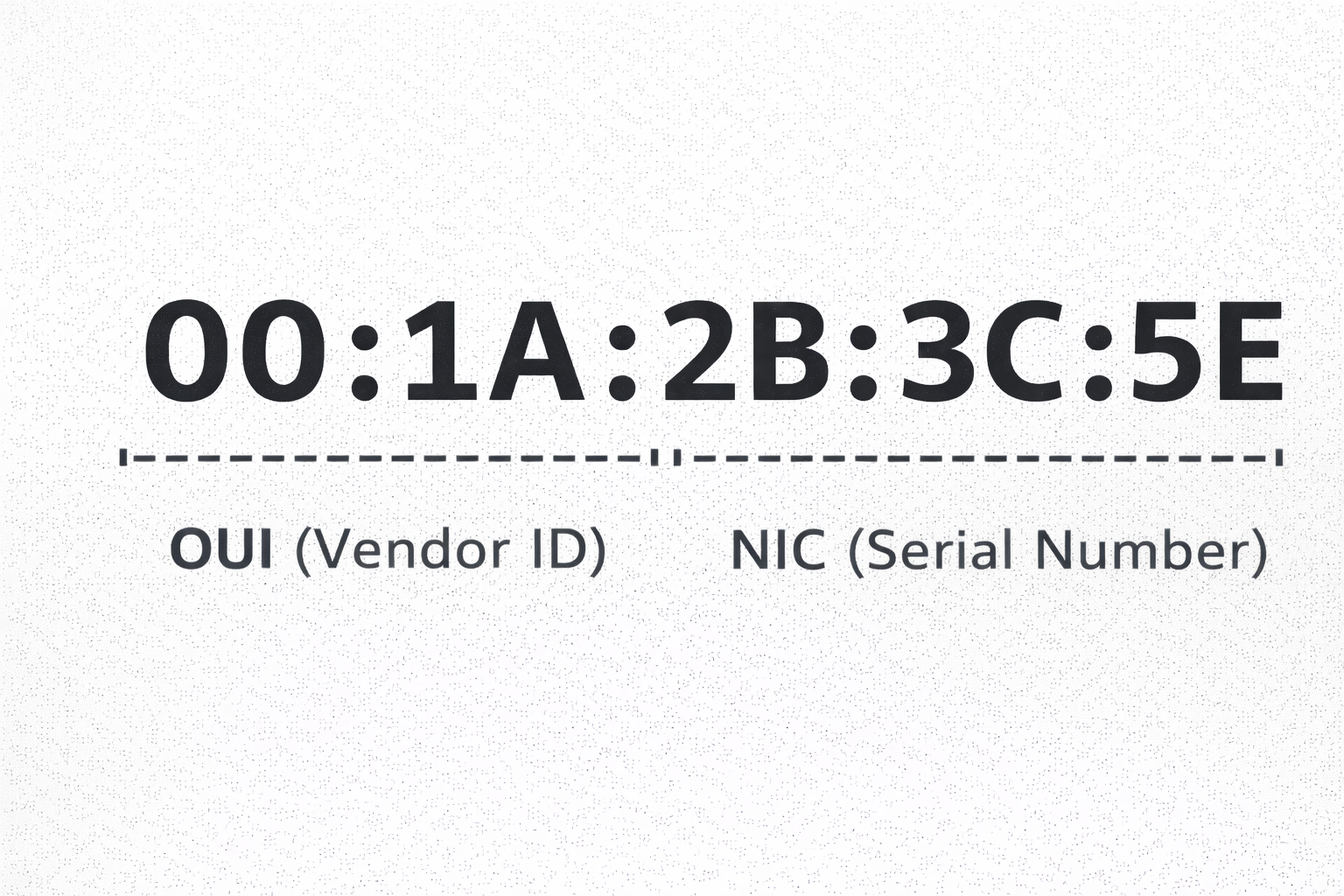 MAC Address Structure