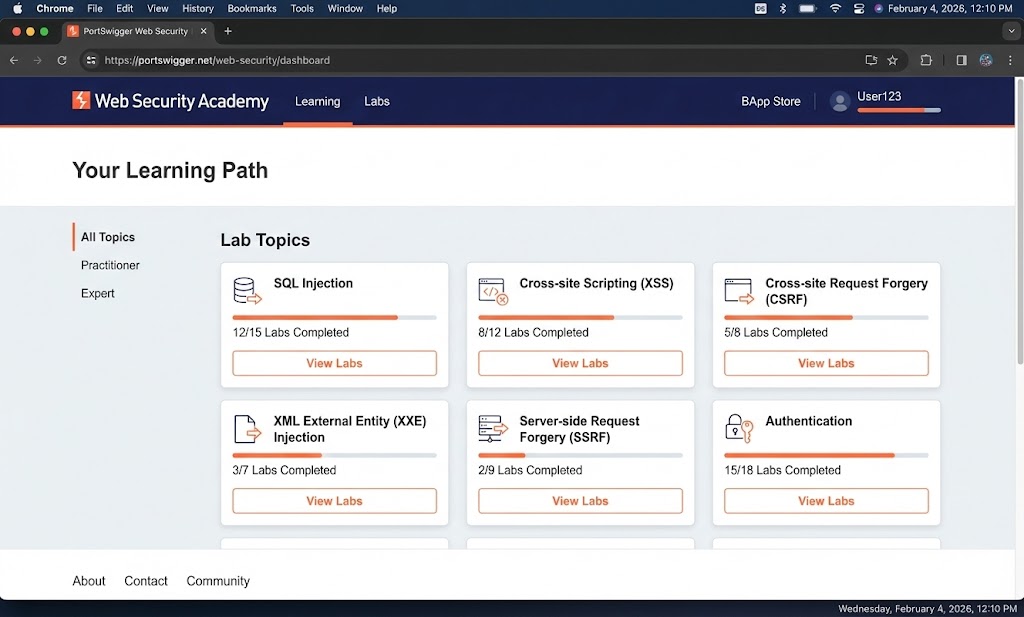 PortSwigger Web Security Academy